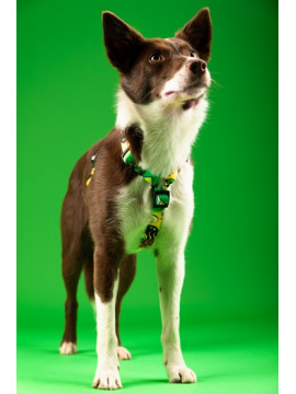 CHABA Szelki Guard Story III XL 3,0cm Jumbo