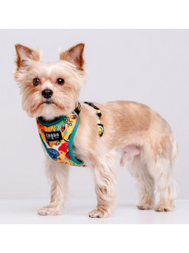 CHABA Szelki Guard Comfort Story III bezuciskowe L 2,0cm Jumbo