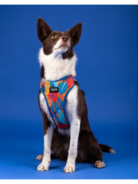 CHABA Szelki Guard Comfort Story III bezuciskowe L 2,0cm Aussie