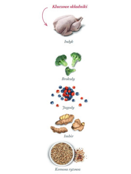 Amanova Dog Adult Obesity Turkey Delight - indyk 10kg