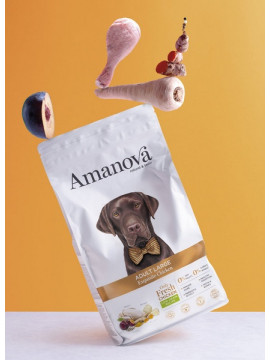 Amanova Dog Adult Large Exquisite Chicken - kurczak 12kg