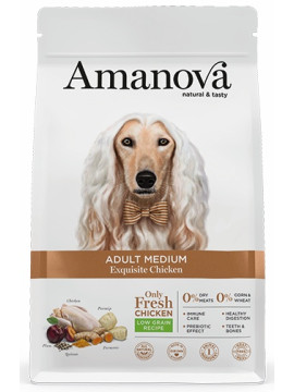 Amanova Dog Adult Medium Exquisite Chicken - kurczak 12kg