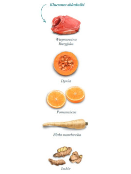 Amanova Dog Adult Mini Exigent Iberian Pork - wieprzowina 7kg