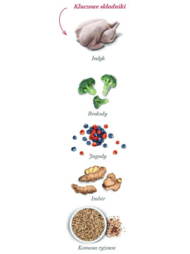 Amanova Dog Adult Mini Obesity Turkey Delight - indyk 7kg