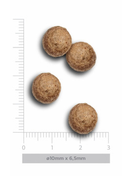 Amanova Dog Adult Mini Exquisite Chicken - kurczak 7kg