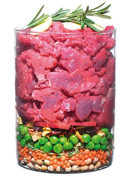 Carnilove Dog True Fresh Beef Adult - wołowina 4kg