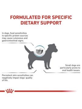 Royal Canin Veterinary Diet Canine Anallergenic Small 3kg