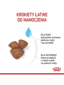 Royal Canin Mini Starter Mother&Babydog karma sucha dla szczeniąt do 2 miesiąca i suk karmiących ras małych 4kg