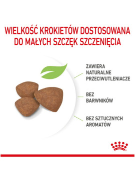Royal Canin Mini Puppy karma sucha dla szczeniąt, od 2 do 10 miesiąca życia, ras małych 4kg
