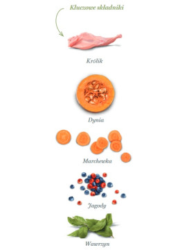 Amanova Dog Puppy Digestive Divine Rabbit - królik 2kg