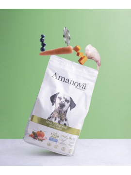 Amanova Dog Adult Digestive Divine Rabbit - królik 2kg