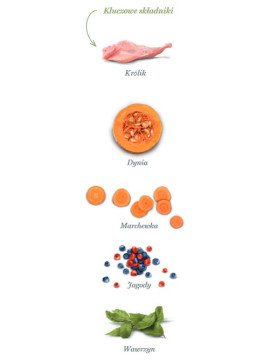 Amanova Dog Adult Digestive Divine Rabbit - królik 2kg