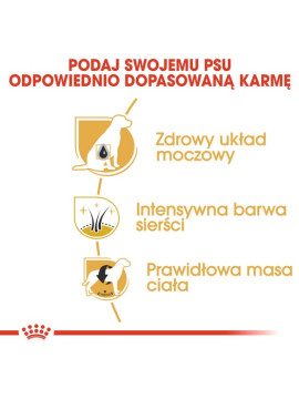 Royal Canin Miniature Schnauzer Adult karma sucha dla psów dorosłych rasy schnauzer miniaturowy 3kg