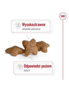 Royal Canin Mini Adult karma sucha dla psów dorosłych, ras małych 4kg