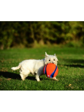 Chuckit! Kick Fetch Large [251201]