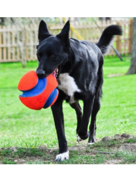 Chuckit! Kick Fetch Large [251201]
