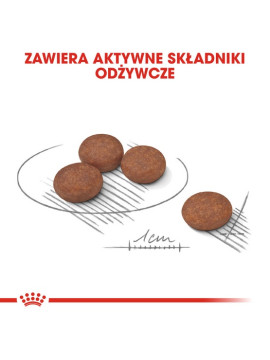 Royal Canin Mini Digestive Care karma sucha dla psów dorosłych, ras małych o wrażliwym przewodzie pokarmowym 3kg