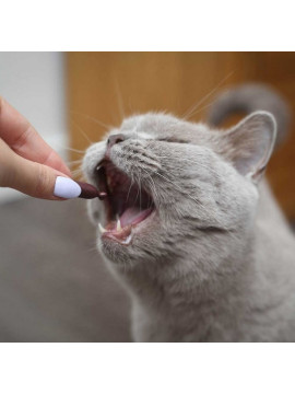 UrinoVet Cat 45 tabletek