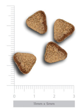 Amanova Dog Adult Mini Sensitive Salmon Deluxe - łosoś 2kg