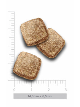 Amanova Dog Adult Obesity Turkey Delight - indyk 2kg