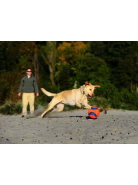 Chuckit! Kick Fetch Small [251101]
