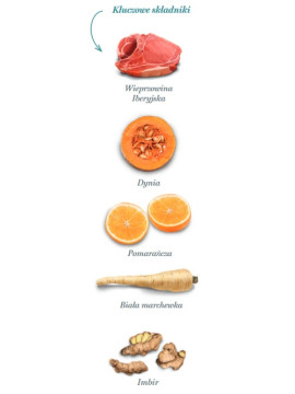 Amanova Dog Adult Exigent Iberian Pork - wieprzowina 2kg