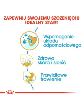 Royal Canin Shih Tzu Puppy karma sucha dla szczeniąt do 10 miesiąca, rasy shih tzu 1,5kg