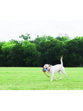 Chuckit! Rope Fetch [32220]