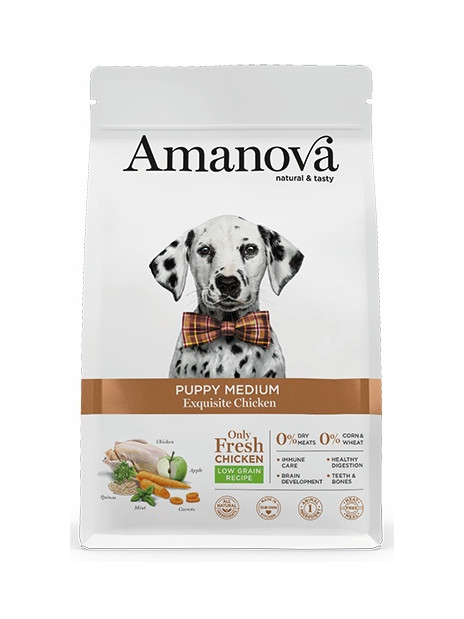 Amanova Dog Puppy Medium Exquisite Chicken - kurczak 2kg