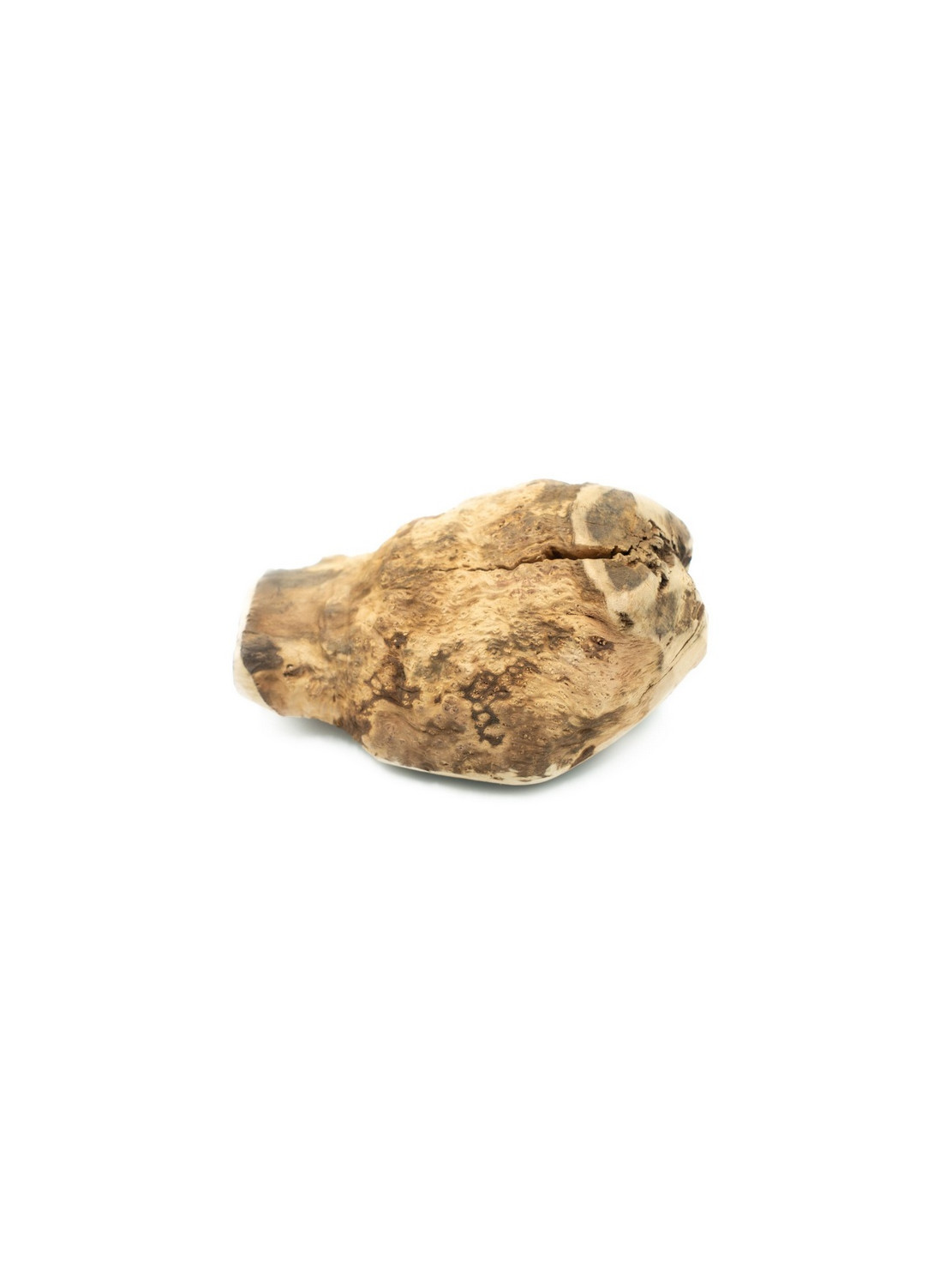 4DOGS Gryzak z korzenia drzewa wrzosowego XL