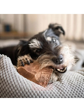 4DOGS Gryzak z korzenia drzewa wrzosowego XL