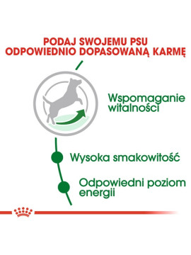 Royal Canin Mini Adult 8+ karma sucha dla psów starszych od 8 do 12 roku życia, ras małych 2kg
