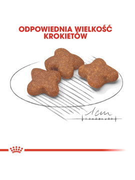 Royal Canin Mini Adult 8+ karma sucha dla psów starszych od 8 do 12 roku życia, ras małych 2kg