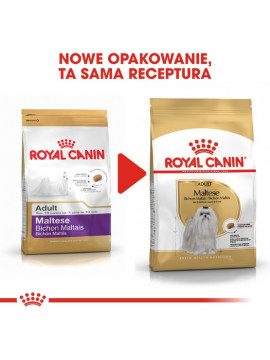 Royal Canin Maltese Adult karma sucha dla psów dorosłych rasy maltańczyk 1,5kg