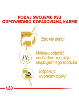 Royal Canin Maltese Adult karma sucha dla psów dorosłych rasy maltańczyk 1,5kg