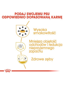 Royal Canin Chihuahua Adult karma sucha dla psów dorosłych rasy chihuahua 1,5kg