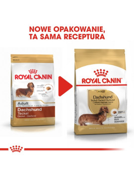 Royal Canin Dachshund Adult karma sucha dla psów dorosłych rasy jamnik 1,5kg