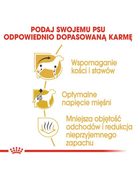 Royal Canin Dachshund Adult karma sucha dla psów dorosłych rasy jamnik 1,5kg