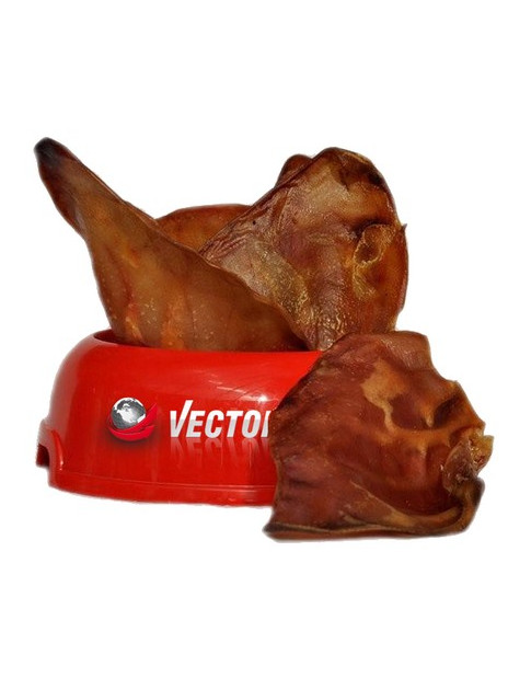 Vector-Food Ucho wieprzowe duże 10szt
