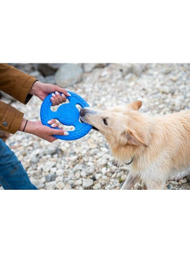 Kiwi Walker Let's Play Frisbee Maxi niebieskie