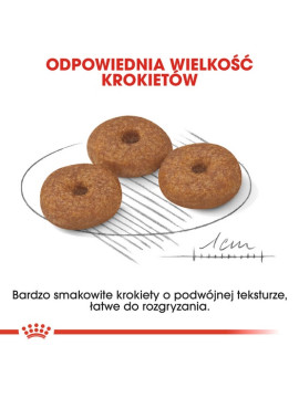 Royal Canin Mini Ageing 12+ karma sucha dla psów dojrzałych po 12 roku życia, ras małych 1,5kg