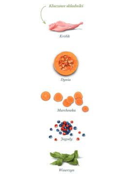 Amanova Dog Adult Mini Digestive Divine Rabbit - królik 800g