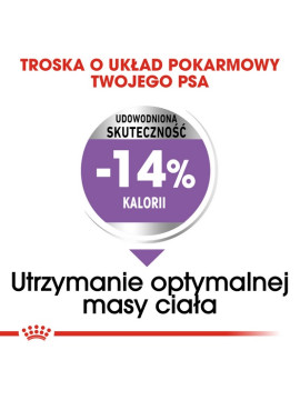 Royal Canin Mini Sterilised karma sucha dla psów dorosłych, ras małych, sterylizowanych 1kg