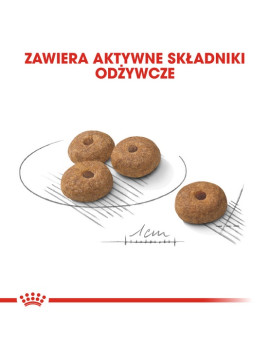 Royal Canin Mini Sterilised karma sucha dla psów dorosłych, ras małych, sterylizowanych 1kg