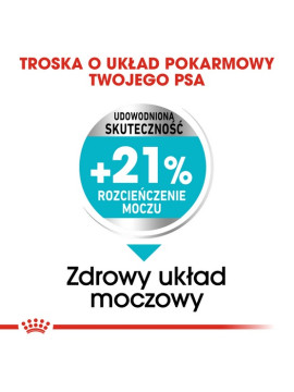 Royal Canin Mini Urinary Care karma sucha dla psów dorosłych, ras małych, ochrona dolnych dróg moczowych 1kg
