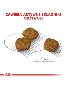 Royal Canin Mini Urinary Care karma sucha dla psów dorosłych, ras małych, ochrona dolnych dróg moczowych 1kg