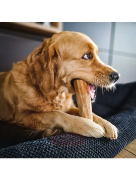 4DOGS Gryzak z drzewa oliwnego L