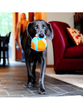 Chuckit! Indoor Ball [213201]