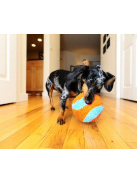 Chuckit! Indoor Ball [213201]