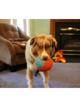 Chuckit! Indoor Ball [213201]